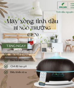 Máy khuếch tán Bầu tiên 10 34