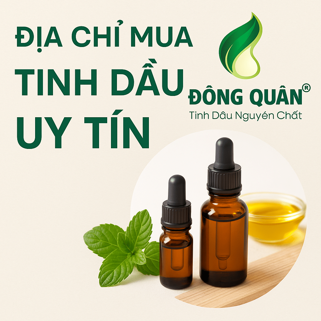 DIA CHI MUA TINH DAU UY TIN