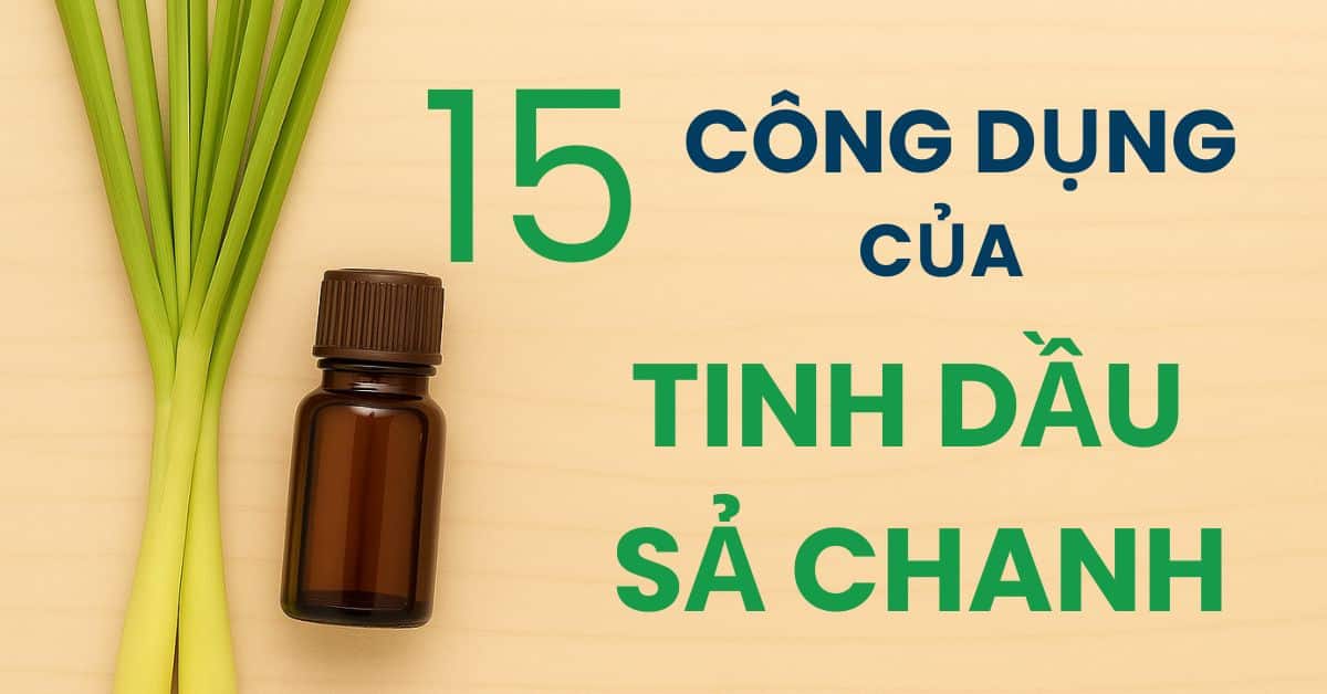 15 CONG DUNG CUA TINH DAU SA CHANH