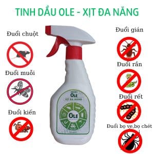 OLE XIT DA NANG 3