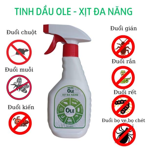 OLE XIT DA NANG 3