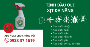 TINH DAU OLE XIT DA NANG