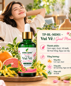 TP BL MD01 THANH PHAN