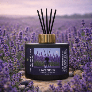 Tinh dầu khuếch tán Oải hương Đông Quân- Để căn phòng giúp bạn nghỉ ngơi đúng nghĩa 3 TDKT OAI HUONG 100ML 1