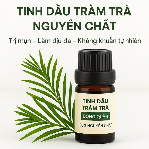 TINH DAU TRAM TRA NGUYEN CHAT DONG QUAN
