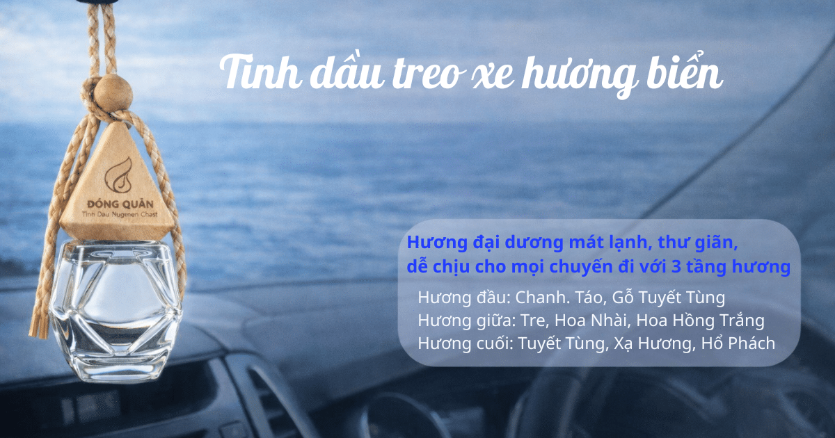 Tinh dau treo xe huong bien