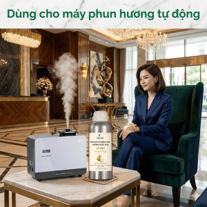 Tinh dau khach san da nang English pear & Freesia