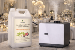 Tinh dau khuech tan white tea fig cho nha hang tiec cuoi sang trong