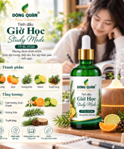 Tinh Dầu Học Tập – Giờ Học / Study Mode 11 TP BL FC04 Concept 100ml