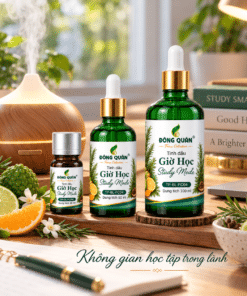 Tinh Dầu Học Tập – Giờ Học / Study Mode 9 TP BL FC04 Concept 3 chai
