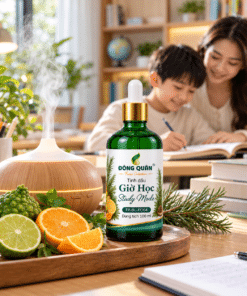 Tinh Dầu Học Tập – Giờ Học / Study Mode 10 TP BL FC04 Concept 50ml