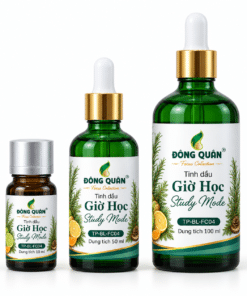 Tinh Dầu Học Tập – Giờ Học / Study Mode