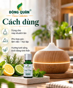 Tinh Dầu Làm Việc – Vào Việc / Get Started 9 TP BL FC05 concept 3