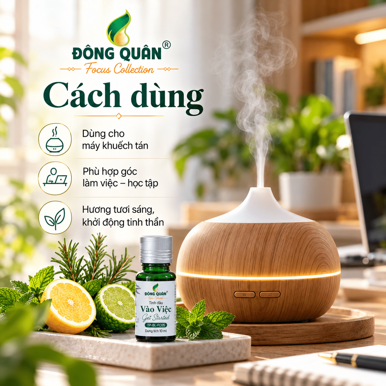 Tinh Dầu Làm Việc – Vào Việc / Get Started 4 Tinh Dầu Làm Việc – Vào Việc / Get Started - Ảnh 4