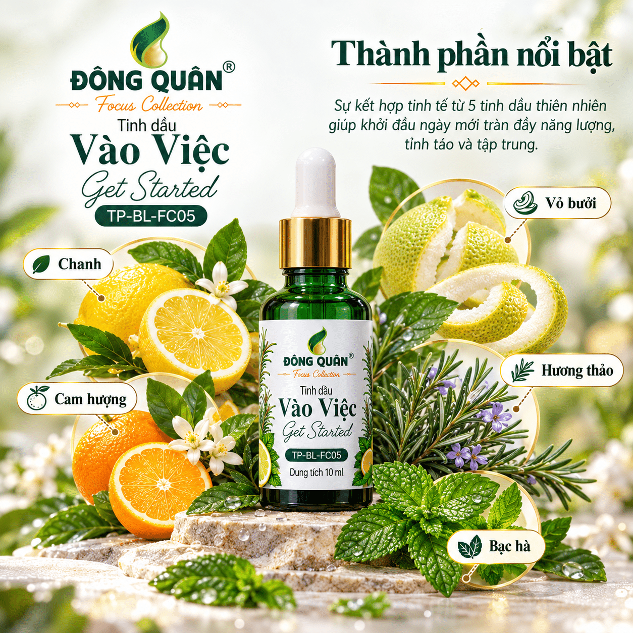 Tinh Dầu Làm Việc – Vào Việc / Get Started 5 Tinh Dầu Làm Việc – Vào Việc / Get Started - Ảnh 5