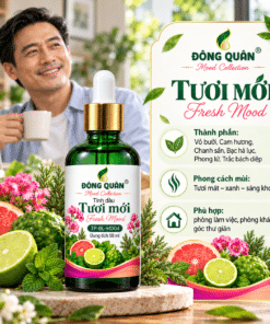 TP BL MD04 CONCEPT THANH PHAN