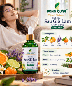 TP BL RE01 THANH PHAN