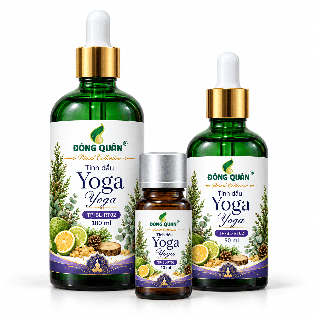 Tinh Dầu Yoga – Yoga Sáng / Morning Yoga 1 Tinh Dầu Yoga – Yoga Sáng / Morning Yoga