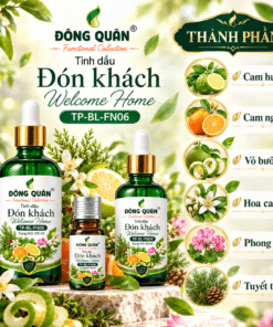 TP FN06 THANH PHAN