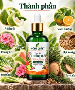 Tinh Dầu Brainstorming – Ý Tưởng Mới / New Ideas 11 tp bl cr02 ingredients