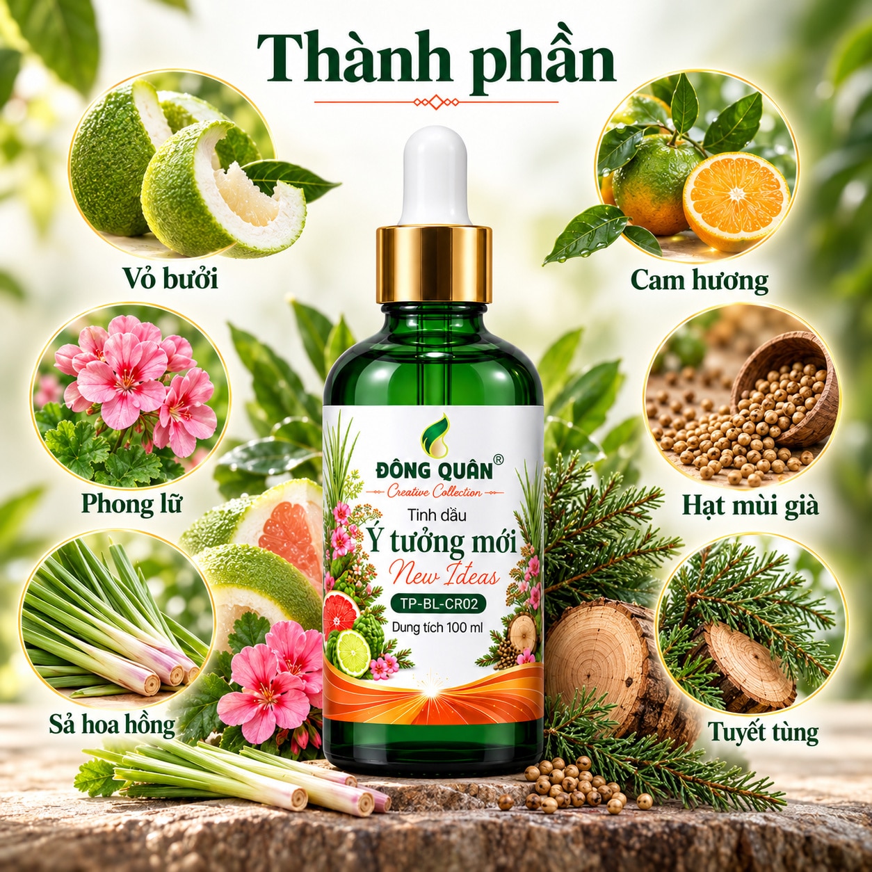 Tinh Dầu Brainstorming – Ý Tưởng Mới / New Ideas 5 Tinh Dầu Brainstorming – Ý Tưởng Mới / New Ideas - Ảnh 5