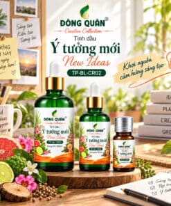 Tinh Dầu Brainstorming – Ý Tưởng Mới / New Ideas 13 tp bl cr02 overview