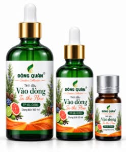 Tinh Dầu Làm Việc Sáng Tạo – Vào Dòng / In the Flow