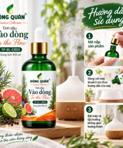 Tinh Dầu Làm Việc Sáng Tạo – Vào Dòng / In the Flow 10 tp bl cr03 how to use