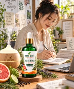 Tinh Dầu Làm Việc Sáng Tạo – Vào Dòng / In the Flow 12 tp bl cr03 lifestyle