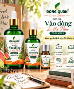 Tinh Dầu Làm Việc Sáng Tạo – Vào Dòng / In the Flow 13 tp bl cr03 overview