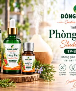 Tinh Dầu Cho Studio – Phòng Studio / Studio Mode 9 tp bl cr04 social