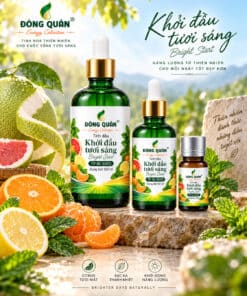 Tinh Dầu Buổi Sáng – Khởi Đầu Tươi Sáng / Bright Start 7 tp bl en02 concept