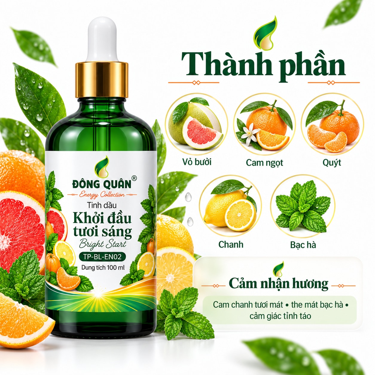 Tinh Dầu Buổi Sáng – Khởi Đầu Tươi Sáng / Bright Start 4 Tinh Dầu Buổi Sáng – Khởi Đầu Tươi Sáng / Bright Start - Ảnh 4