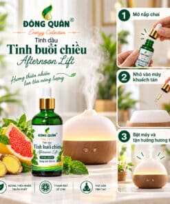 tp bl en03 how to use